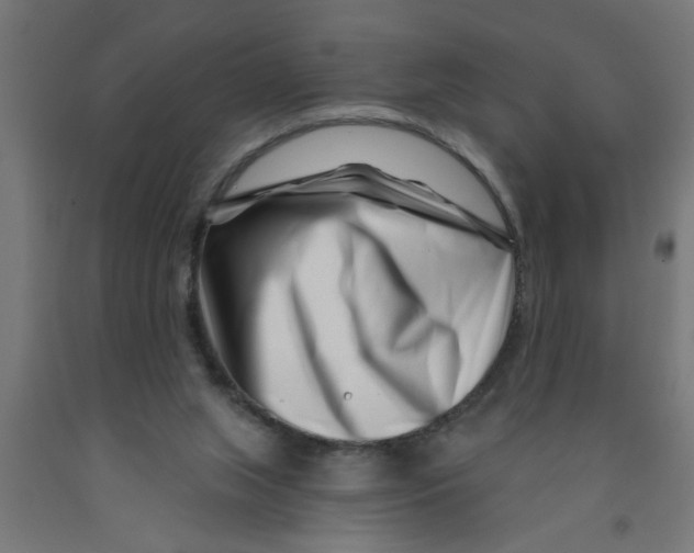 X0000090870063200708241928