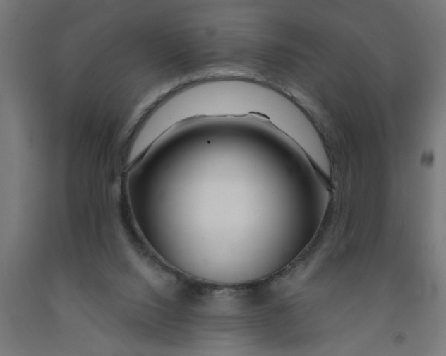 X0000090870064200708241928