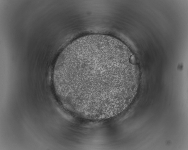 X0000090870065200708241928