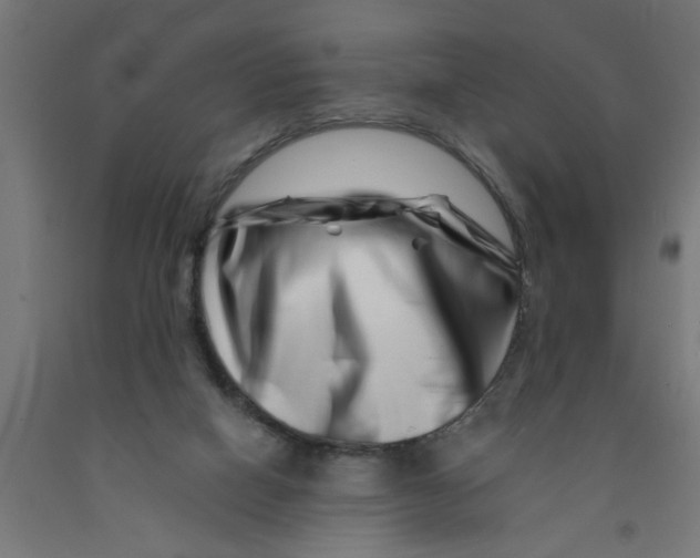 X0000090870066200708241928