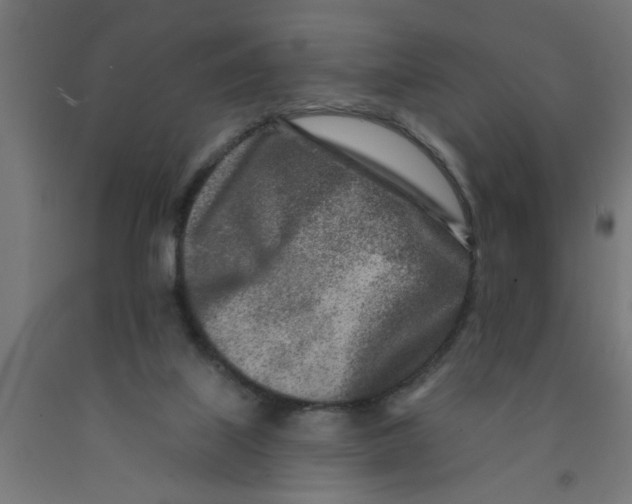 X0000090870067200708241928