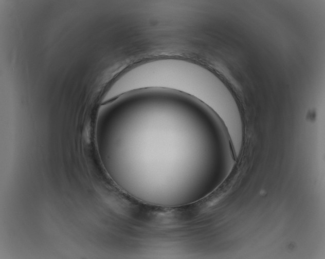 X0000090870068200708241929