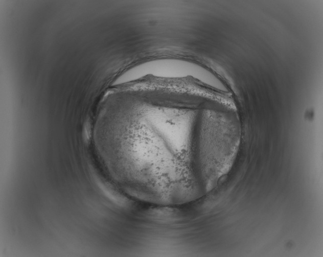 X0000090870069200708241929