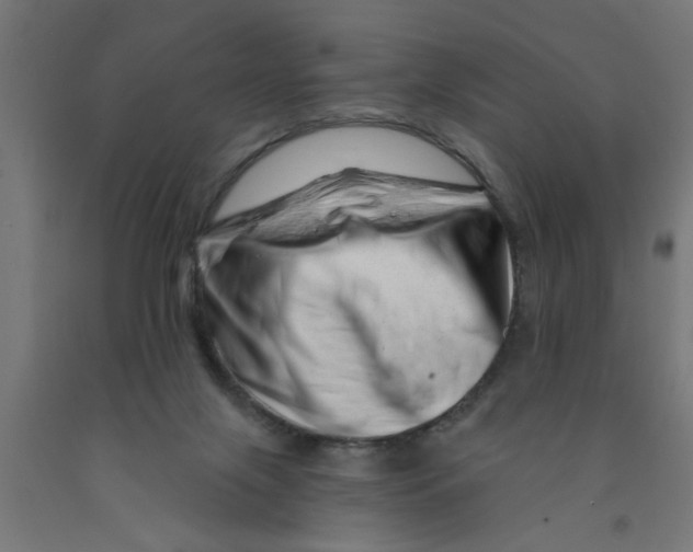 X0000090870071200708241929