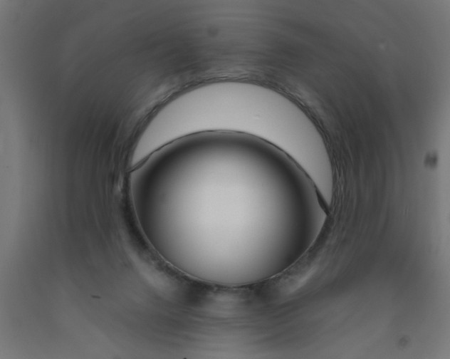 X0000090870072200708241929