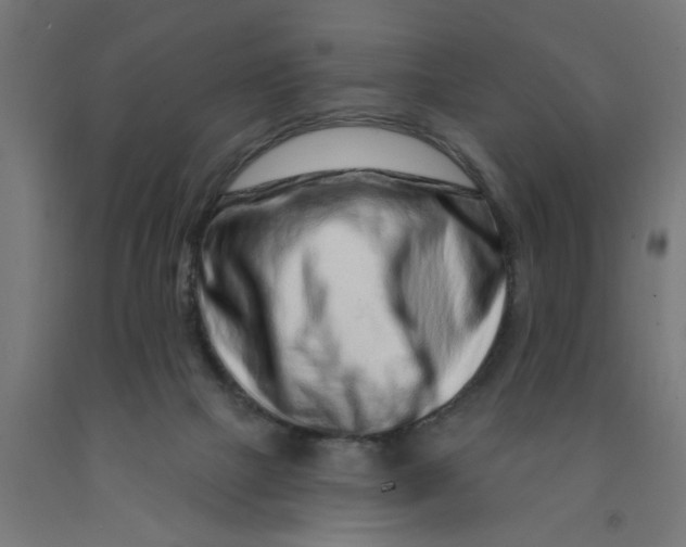 X0000090870073200708241929