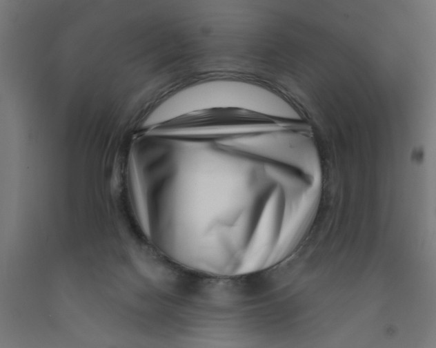 X0000090870074200708241929