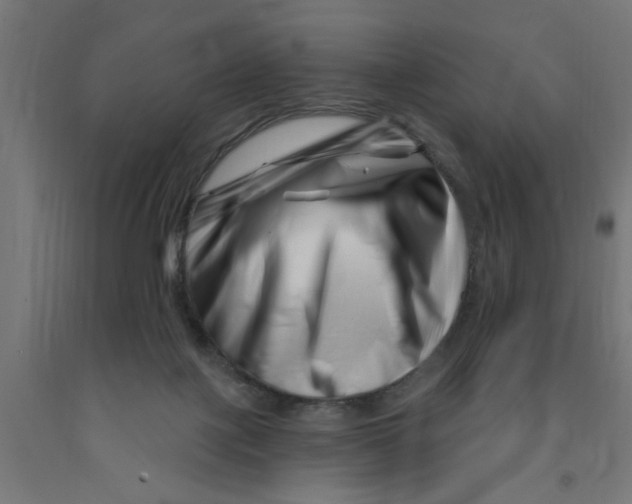 X0000090870075200708241929