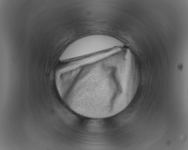 X0000090870077200708241929