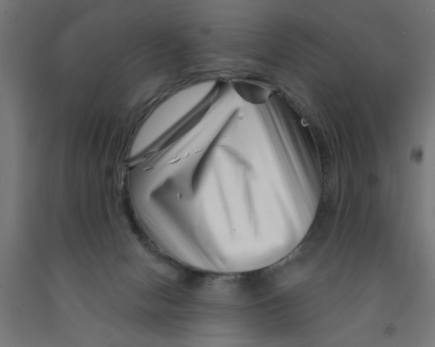 X0000090870078200708241929