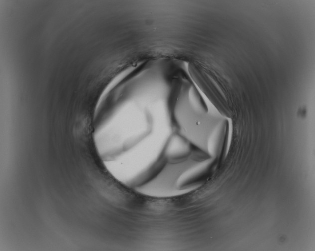 X0000090870079200708241929