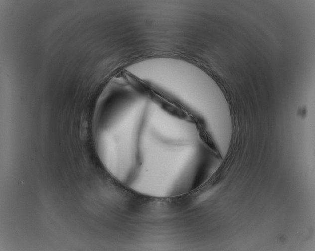 X0000090870080200708241929