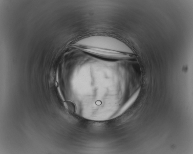 X0000090870081200708241929