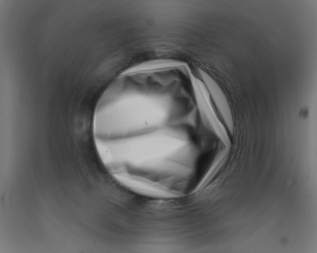 X0000090870082200708241929