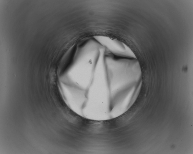 X0000090870083200708241929