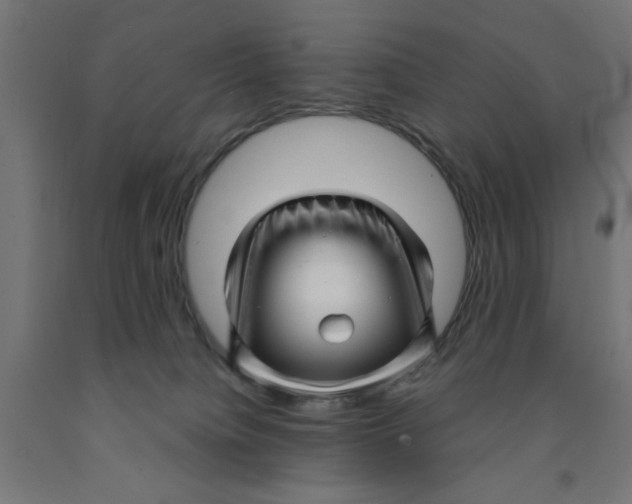 X0000090870084200708241929