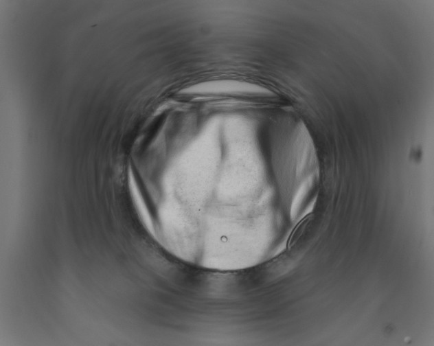 X0000090870085200708241929