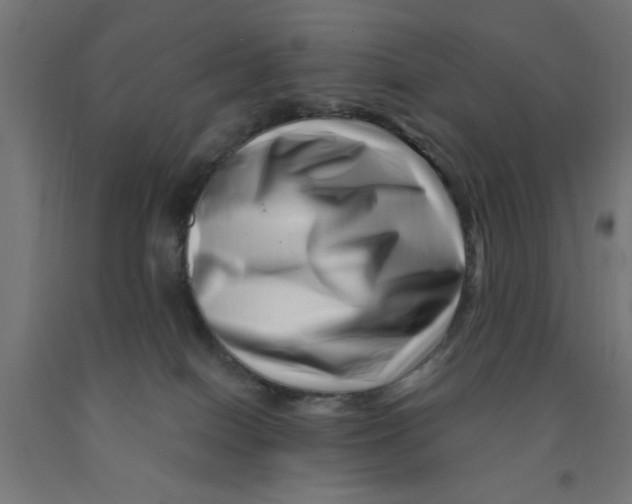 X0000090870086200708241929