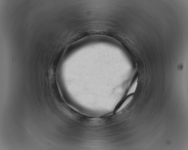 X0000090870087200708241929