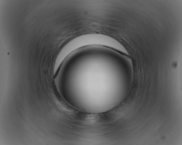 X0000090870088200708241929