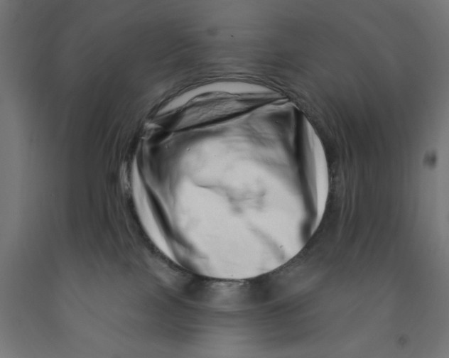 X0000090870089200708241929