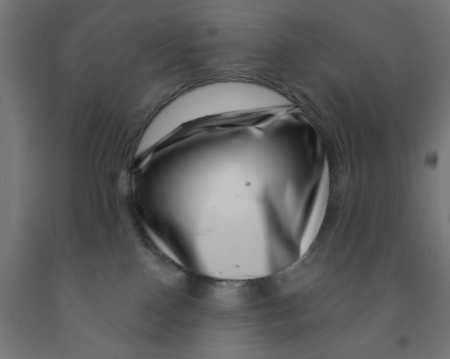 X0000090870090200708241929