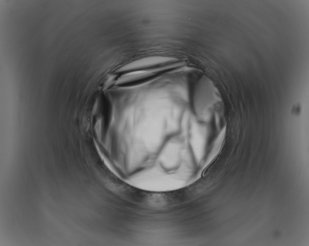 X0000090870091200708241929