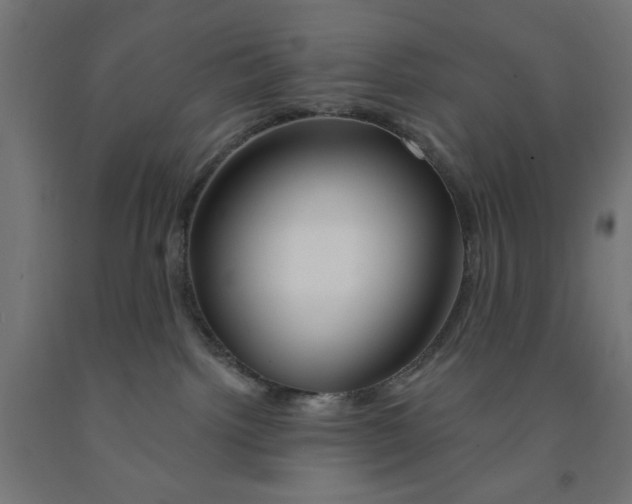 X0000090870092200708241929