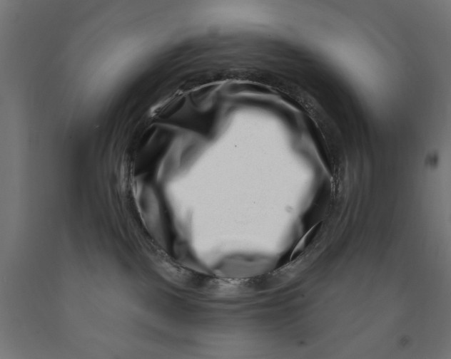 X0000090870093200708241929