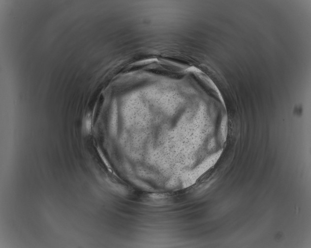 X0000090870095200708241929