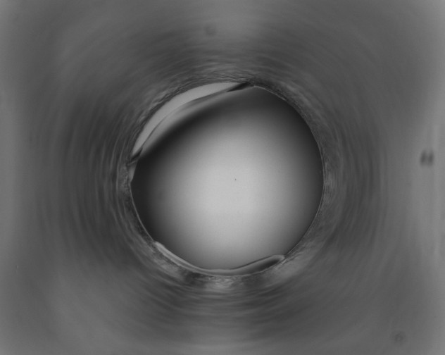 X0000090870096200708241929