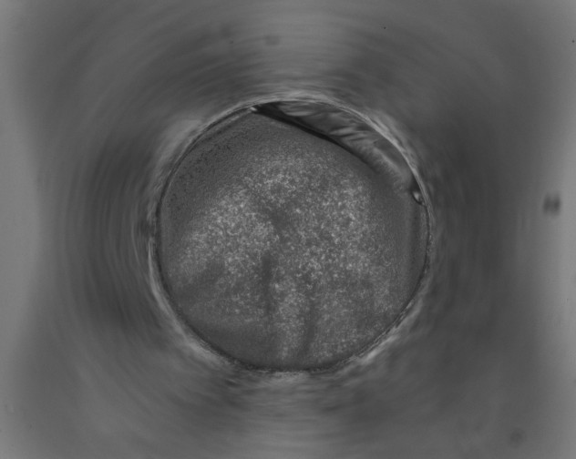 X0000090870097200708241928