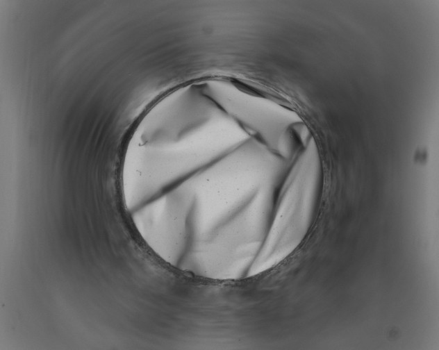 X0000090870098200708241928