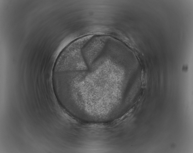 X0000090870099200708241928