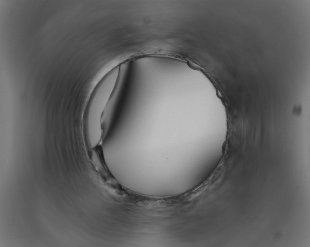 X0000090870100200708241928