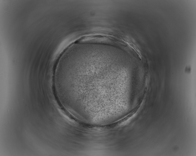 X0000090870101200708241928