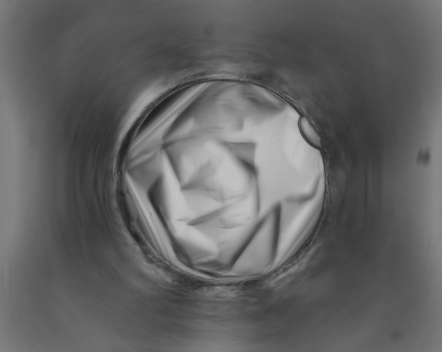 X0000090870102200708241928