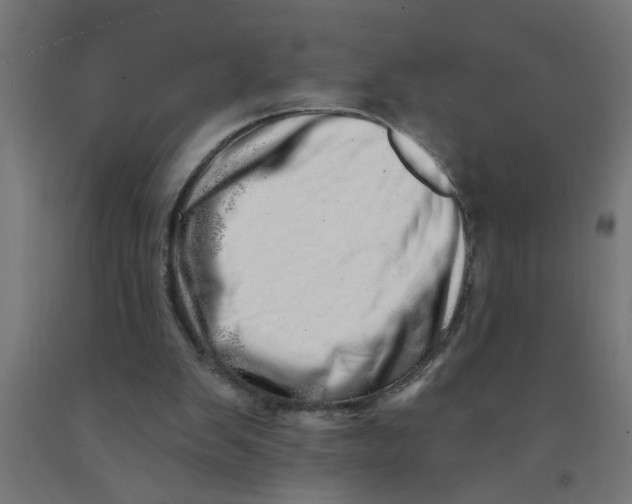 X0000090870103200708241928