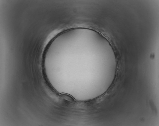 X0000090870104200708241928