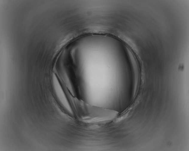X0000090870105200708241928