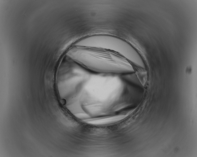 X0000090870107200708241928