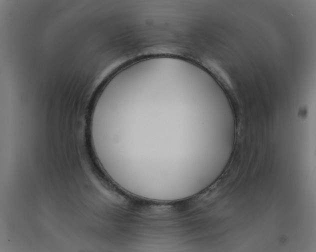 X0000090870108200708241928