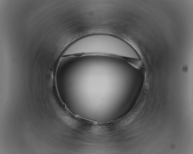 X0000090870109200708241928