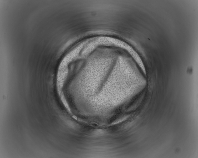 X0000090870111200708241928