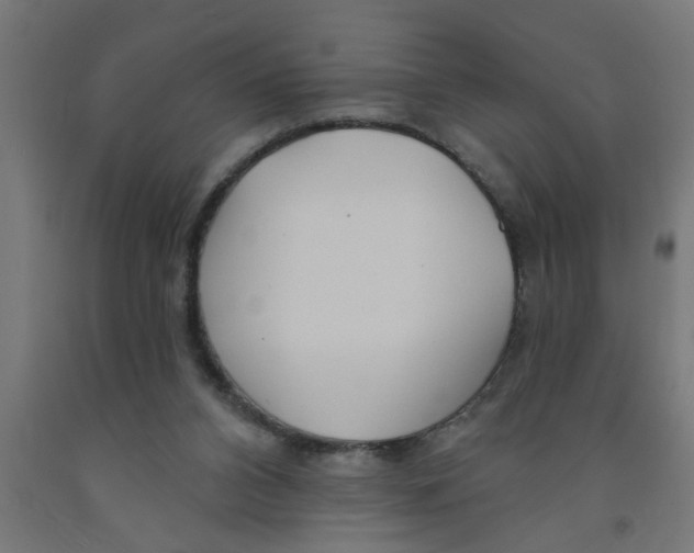 X0000090870112200708241928