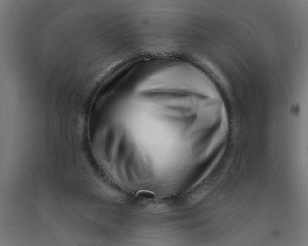 X0000090870113200708241928