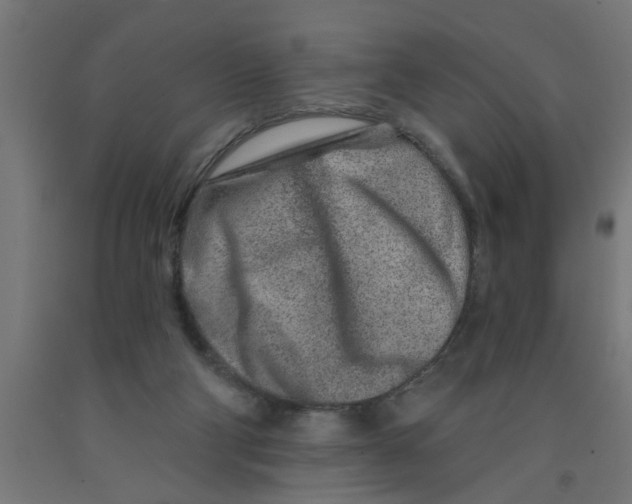 X0000090870114200708241928