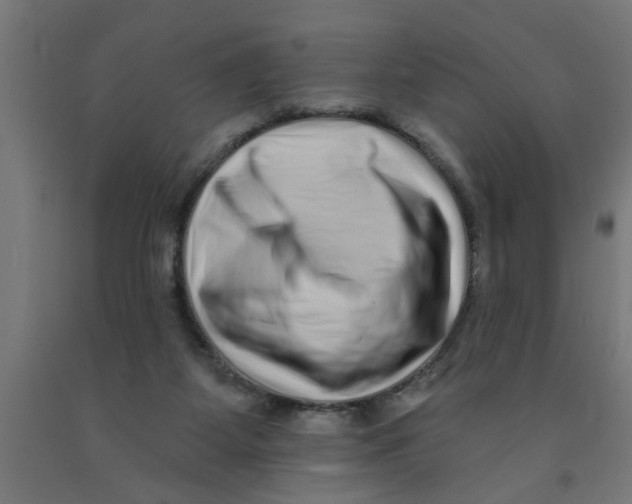 X0000090870115200708241928