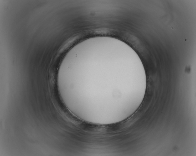 X0000090870116200708241928