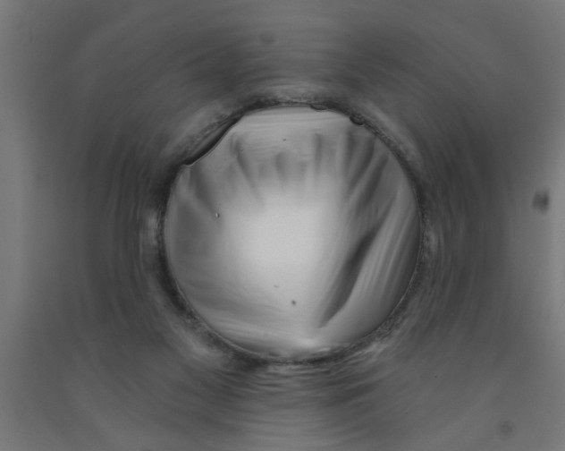 X0000090870117200708241928